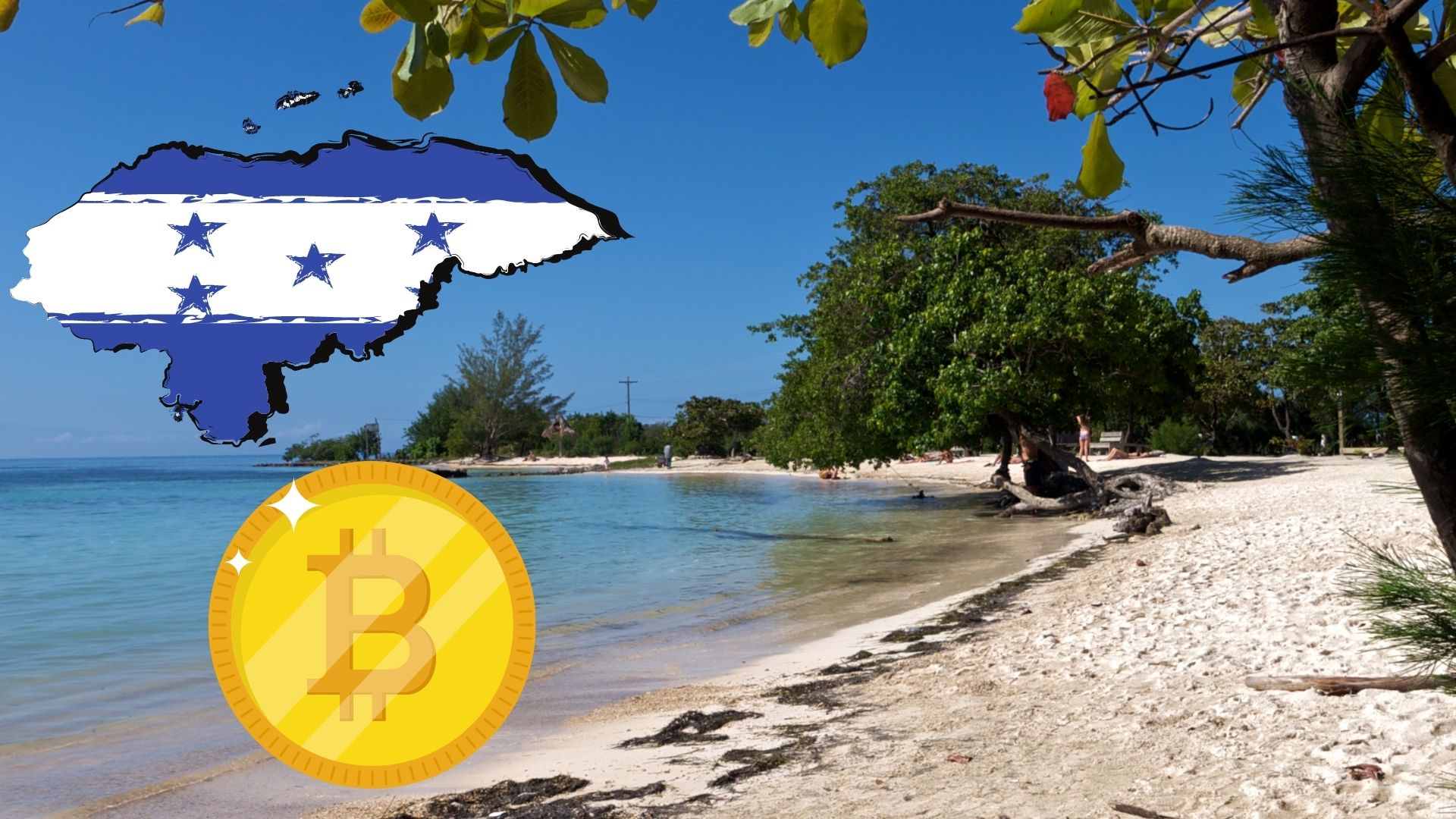 District of Honduras officially recognizes Bitcoin as unit of account