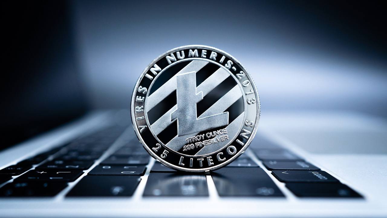 Will the price of Litecoin increase in the near future?