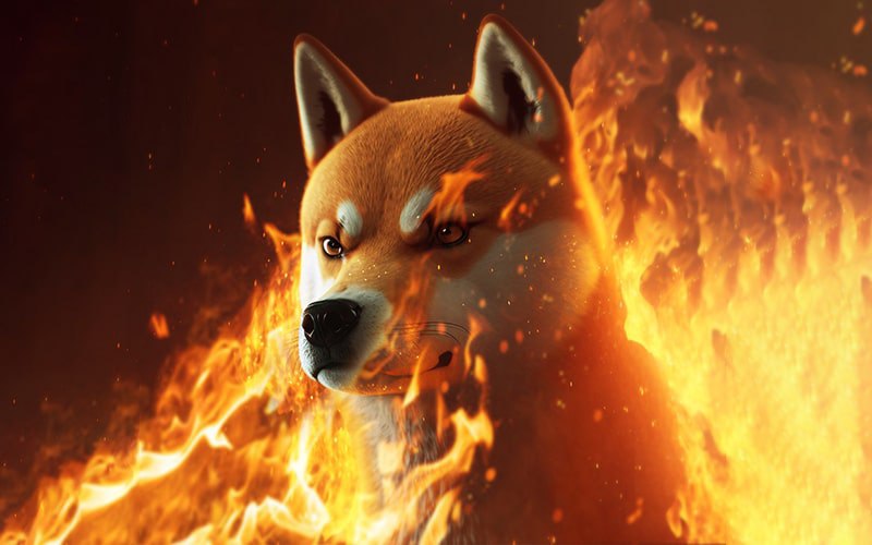 Shiba Inu and FLOKI set burn rate record