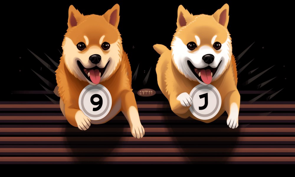 Can Shiba Inu flip Dogecoin in 2024?