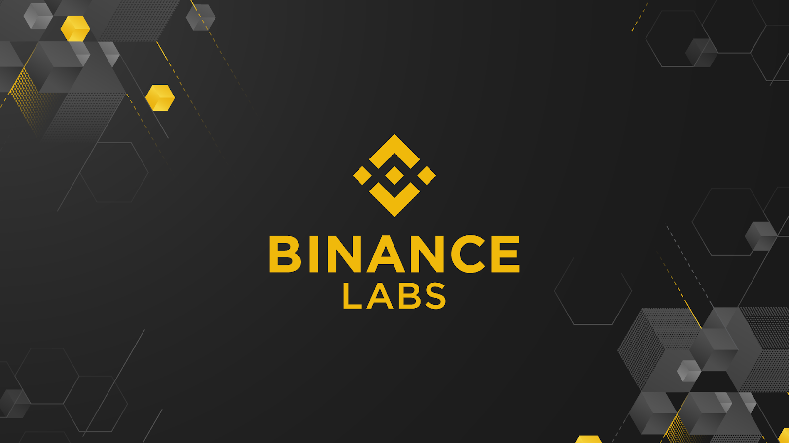 Binance Labs 2023 Portfolio Revealed